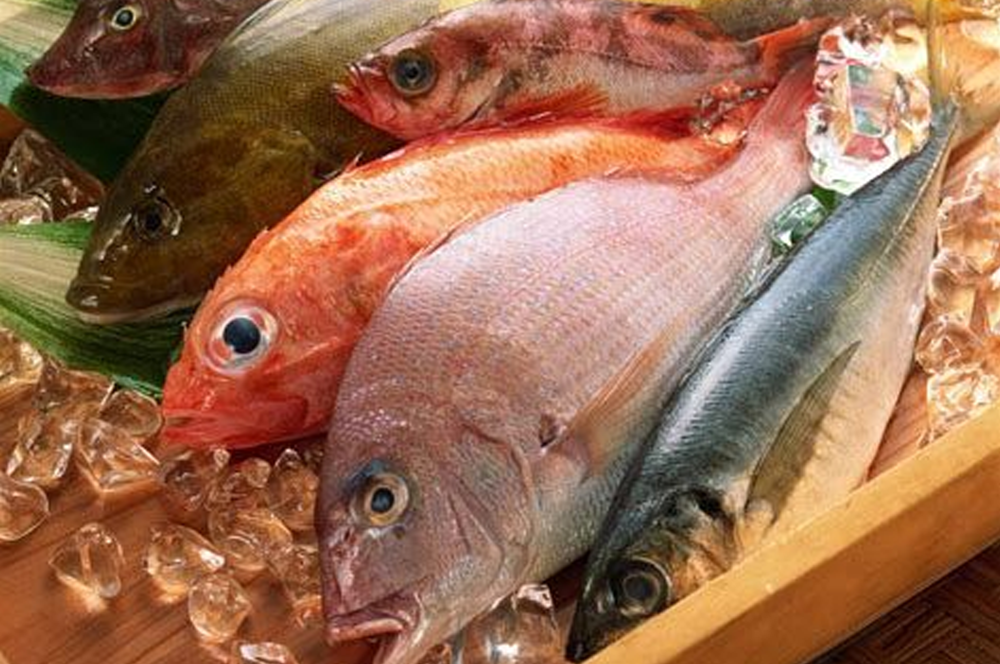 Why Seafood as a Service