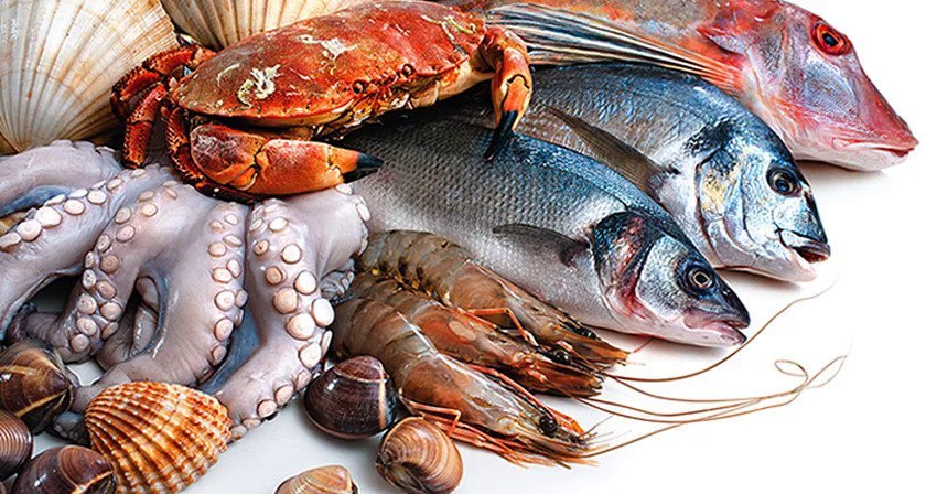 EatFish products
